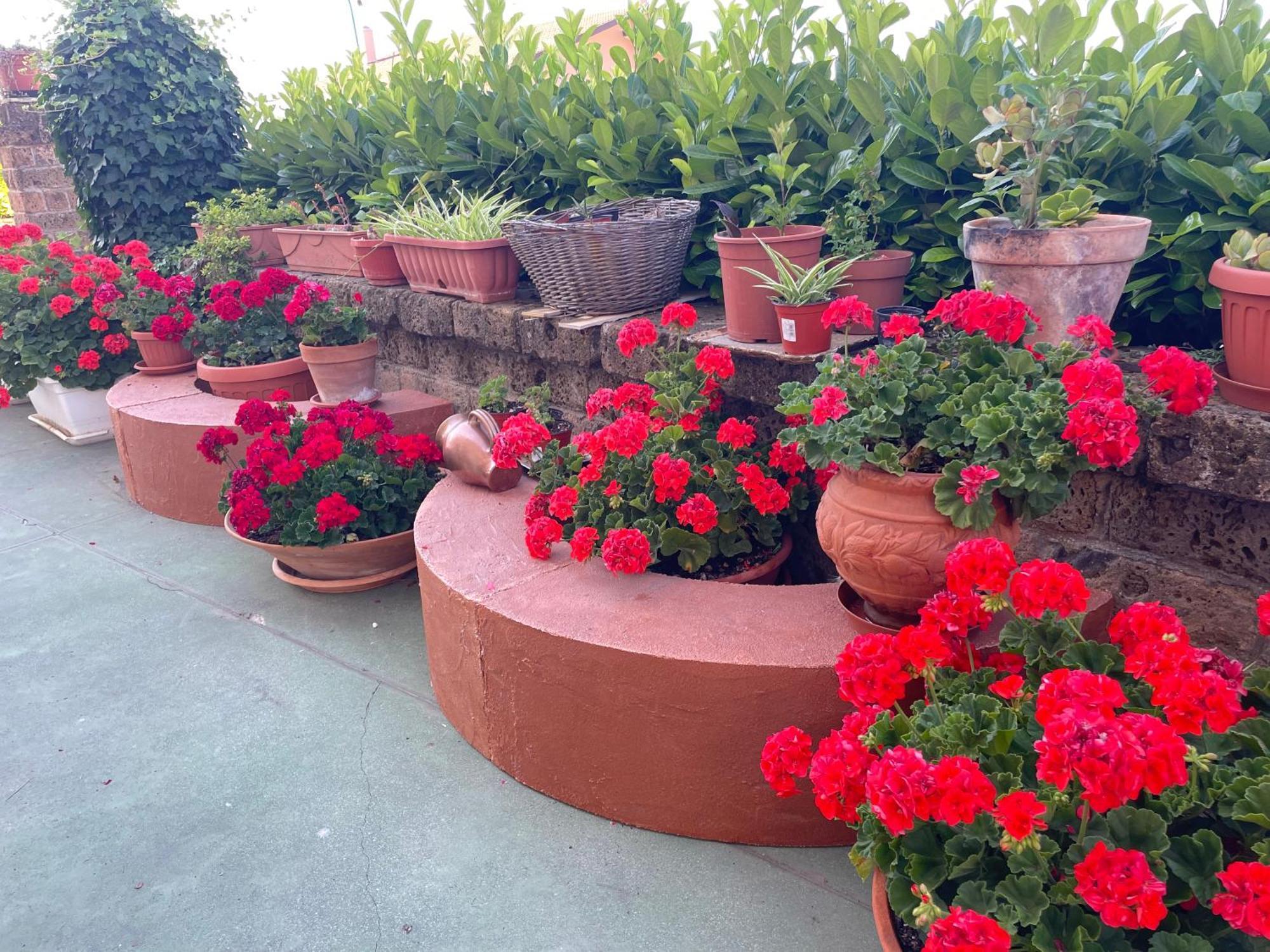 Zembalo Bed & Breakfast Gesualdo Exterior photo